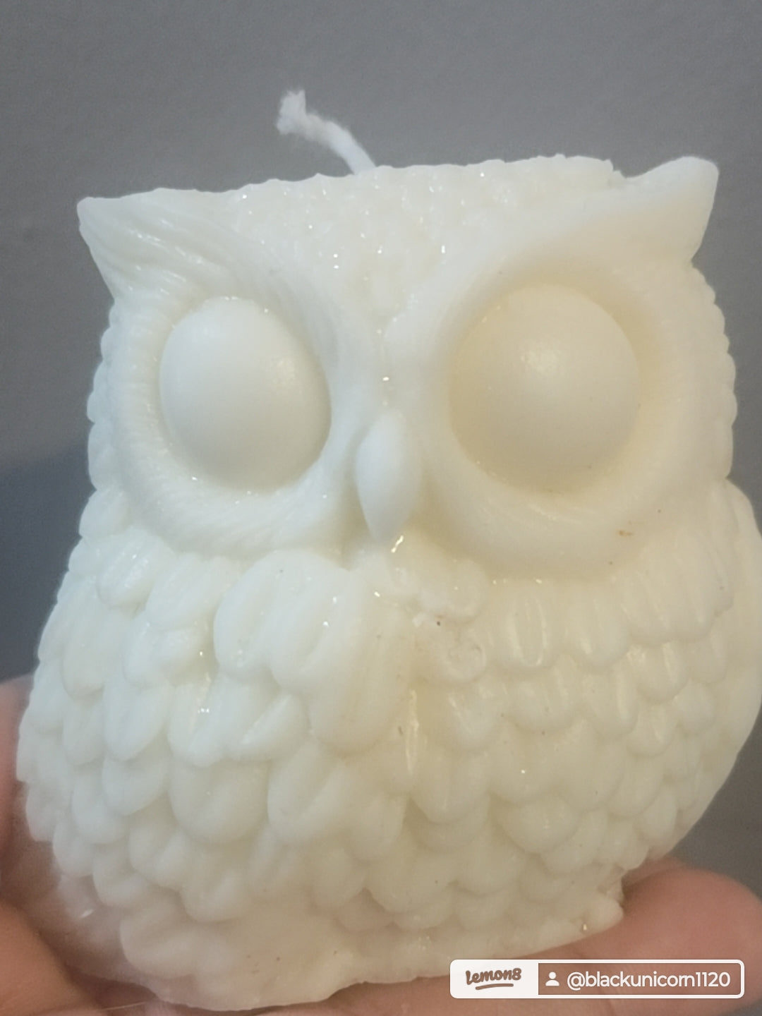 Owl candle
